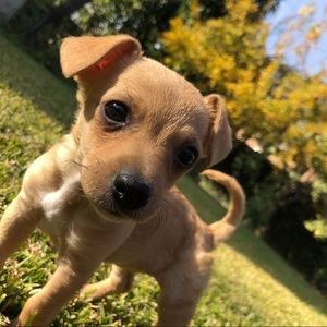 Meet your Posher, Erik